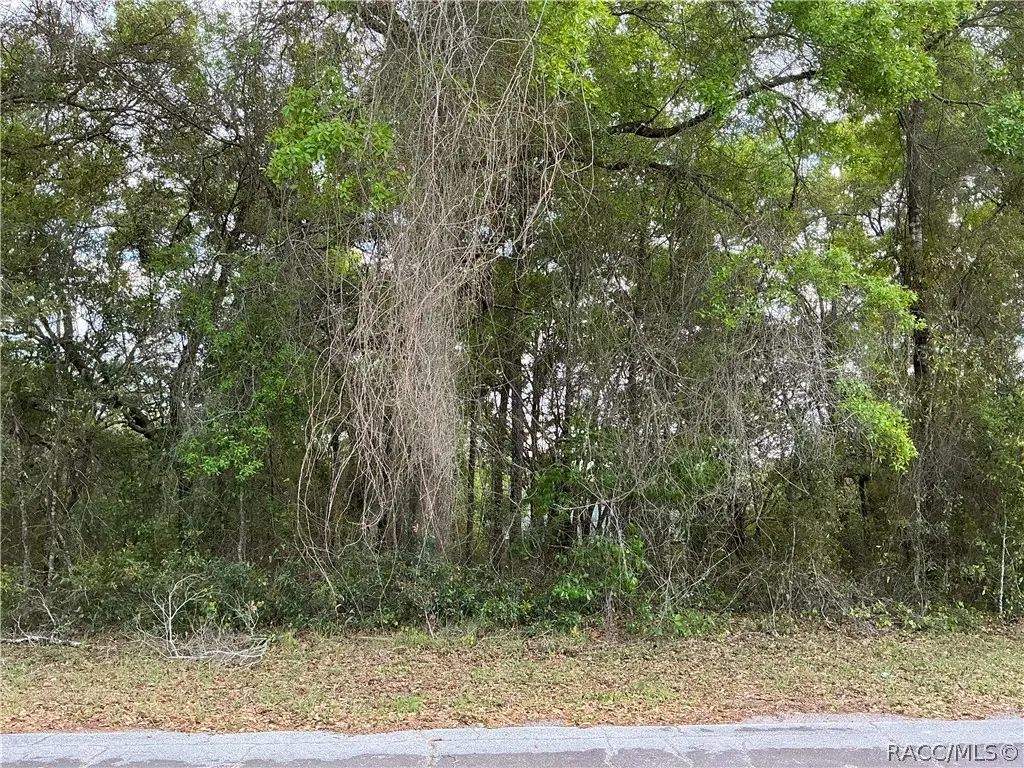 1656 W Beach Plum Drive, Citrus Springs, FL 34434 - #1