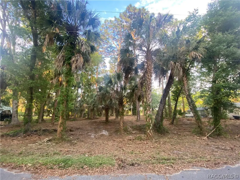 3403 N Olive Avenue, Crystal River, FL 34428 - #1