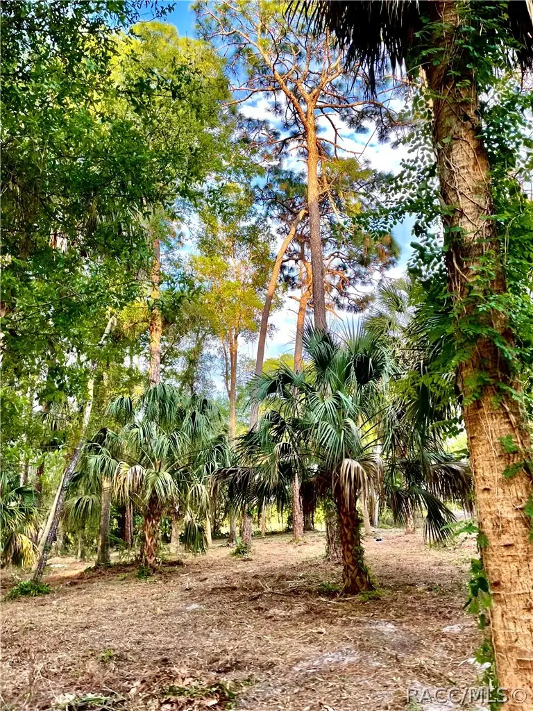 3403 N Olive Avenue, Crystal River, FL 34428 - #2