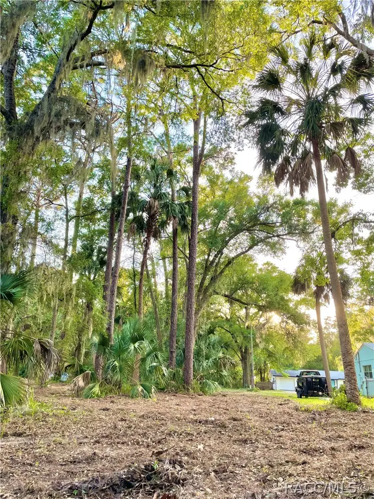 3403 N Olive Avenue, Crystal River, FL 34428 - #3