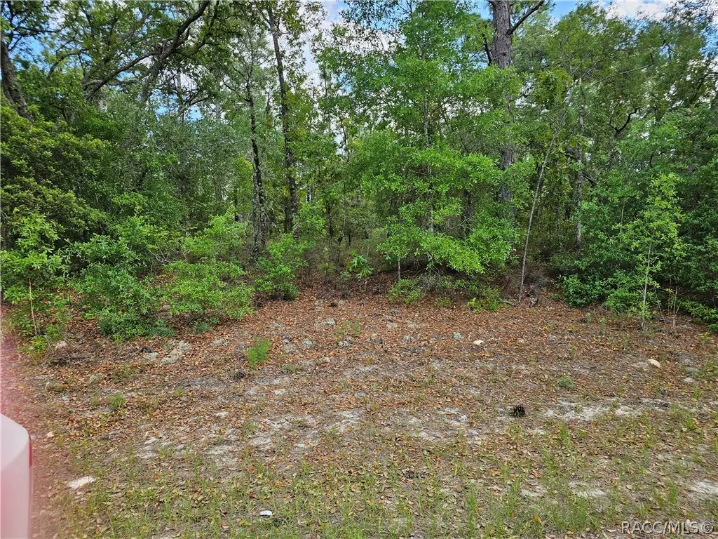 1681 W Skyline Drive, Dunnellon, FL 34434 - #1