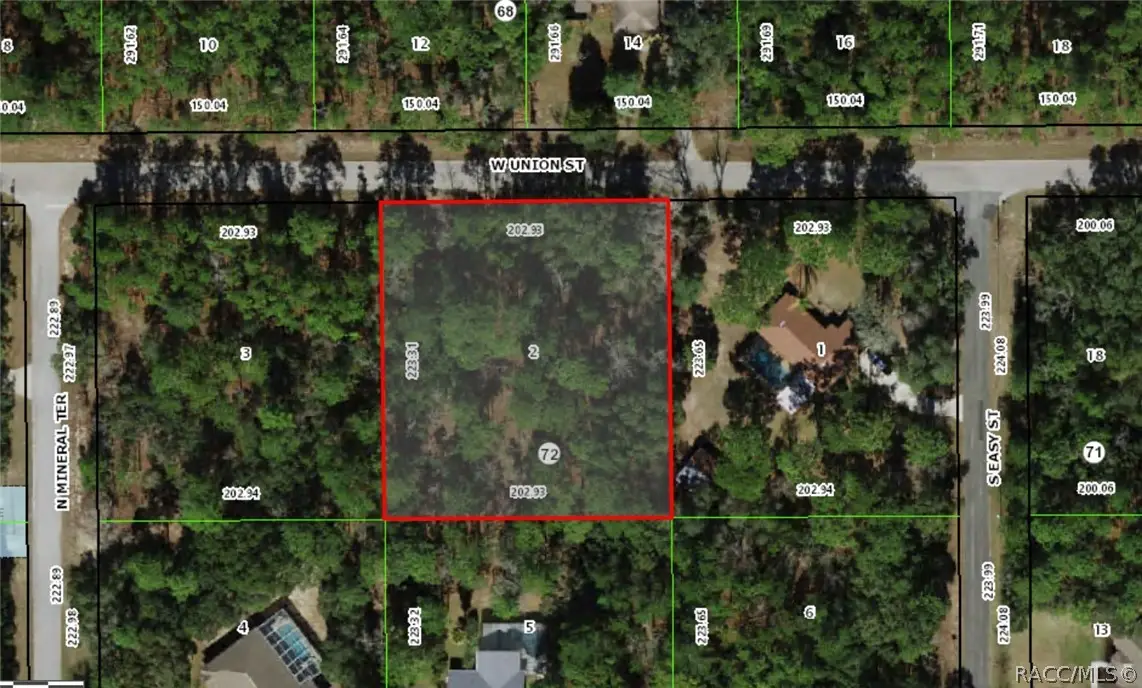 1312 W Union Street, Lecanto, FL 34465 - #1