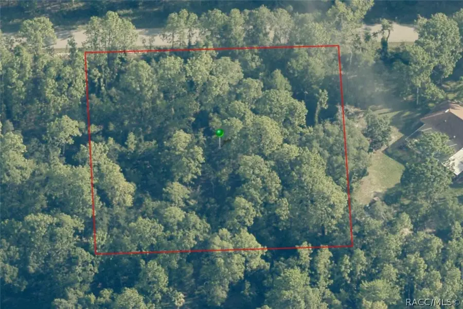 1312 W Union Street, Lecanto, FL 34465 - #3