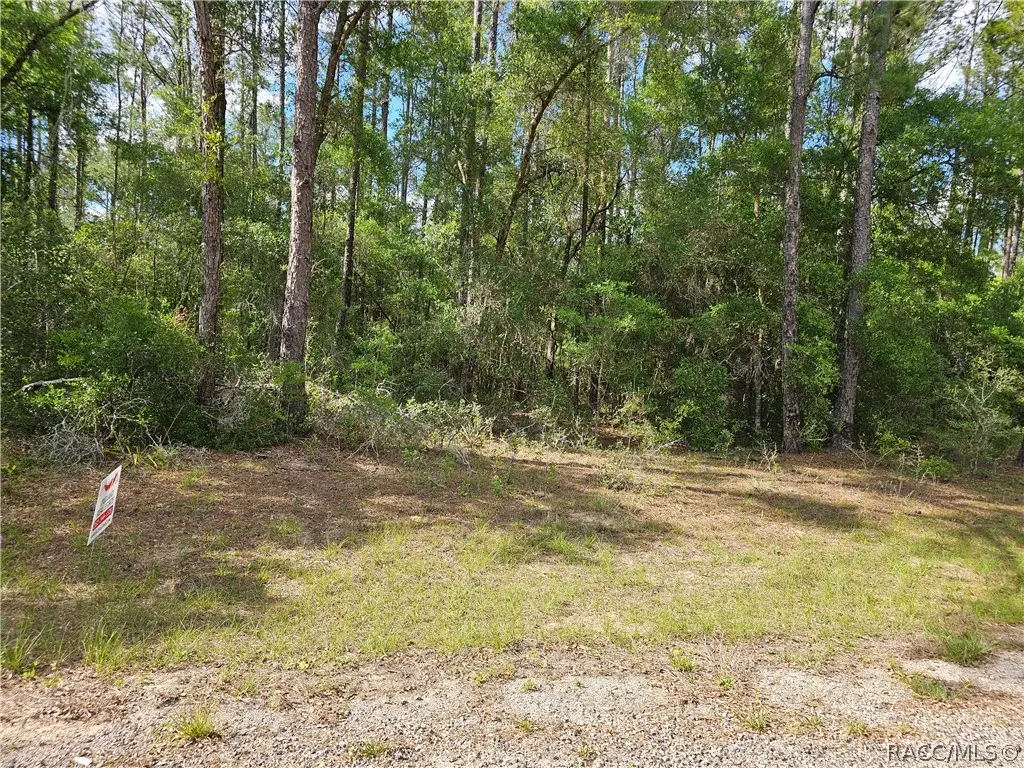 767 E Byrd Loop, Dunnellon, FL 34434 - #1