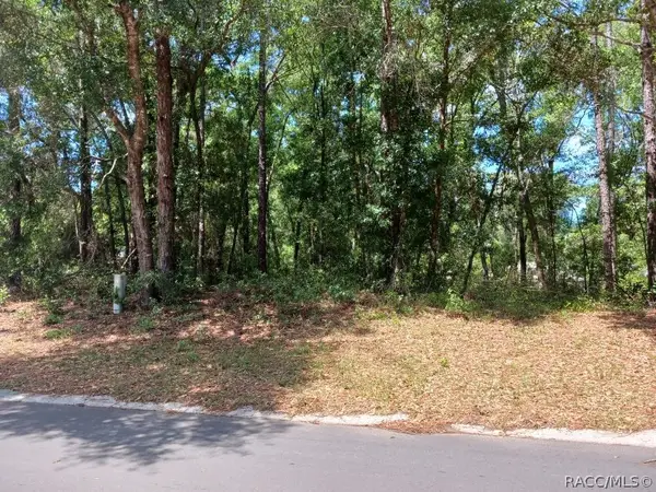 917 Birch Avenue, Inverness, FL 34452