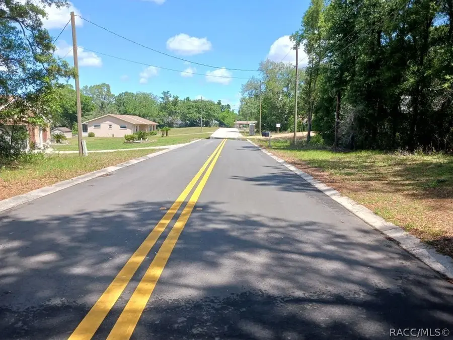 917 Birch Avenue, Inverness, FL 34452 - #3