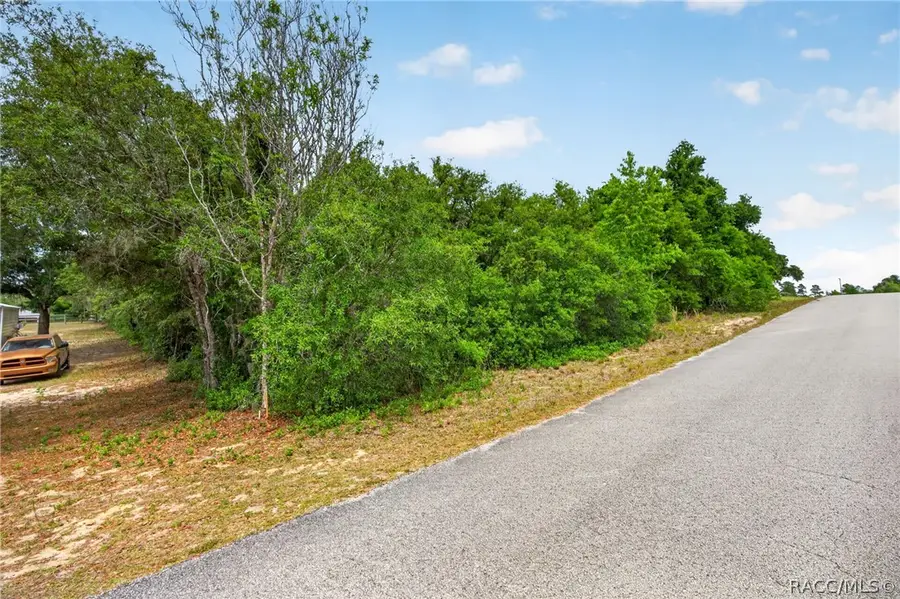 1642 S Valerie Point, Inverness, FL 34452 - #3