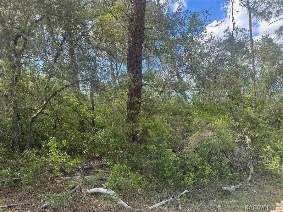 Lot 6 SW 170th Place, Marion Oaks, FL 34473 - #2