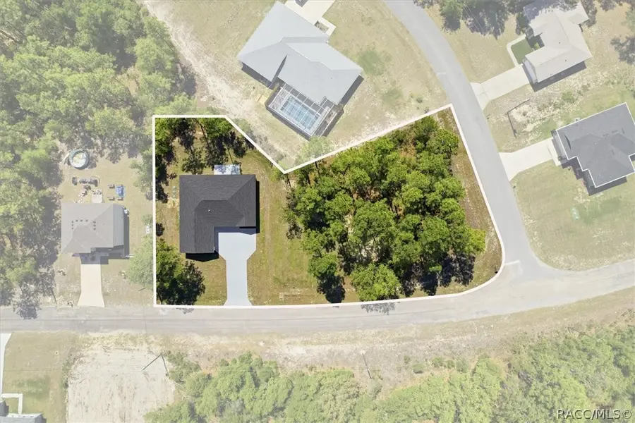 9093 N Burmany Way, Citrus Springs, FL 34433 - #2