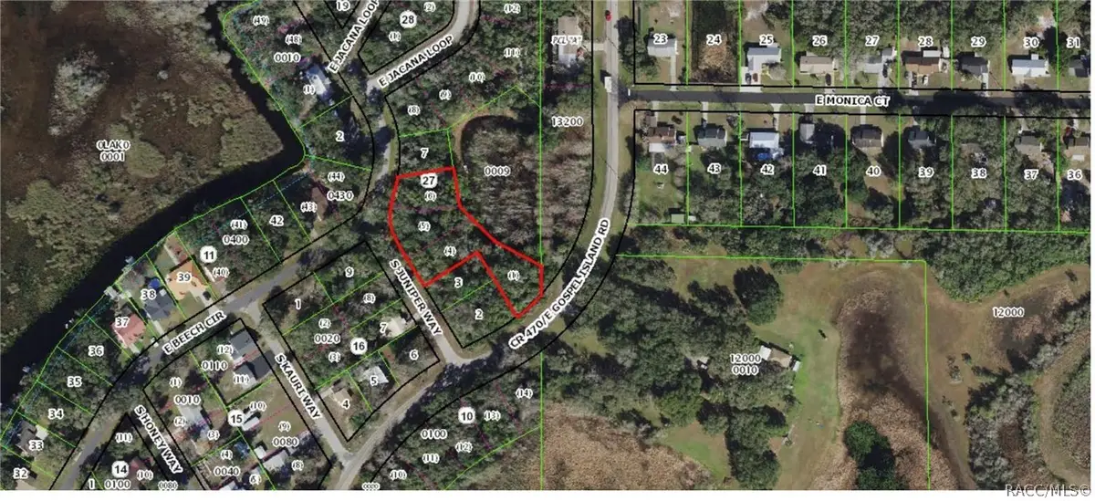 9680 E Gospel Island Road, Inverness, FL 34450 - #1