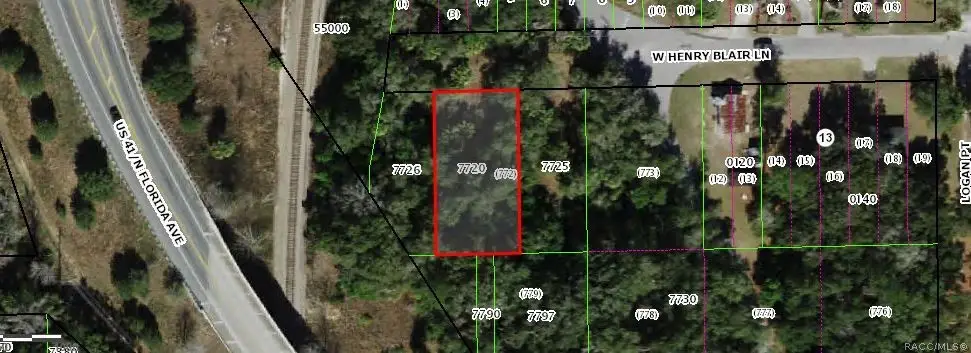 1836 W Henry Blair Lane, Dunnellon, FL 34434 - #1