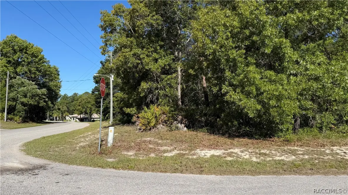 24 Saintpaulia Street, Homosassa, FL 34446 - #1