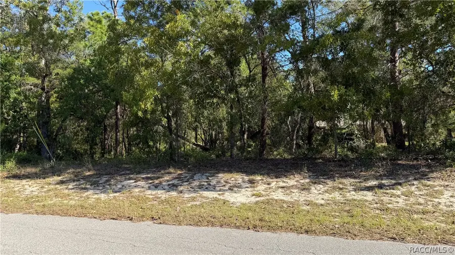 24 Saintpaulia Street, Homosassa, FL 34446 - #2