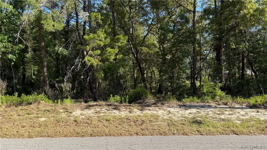24 Saintpaulia Street, Homosassa, FL 34446 - #3