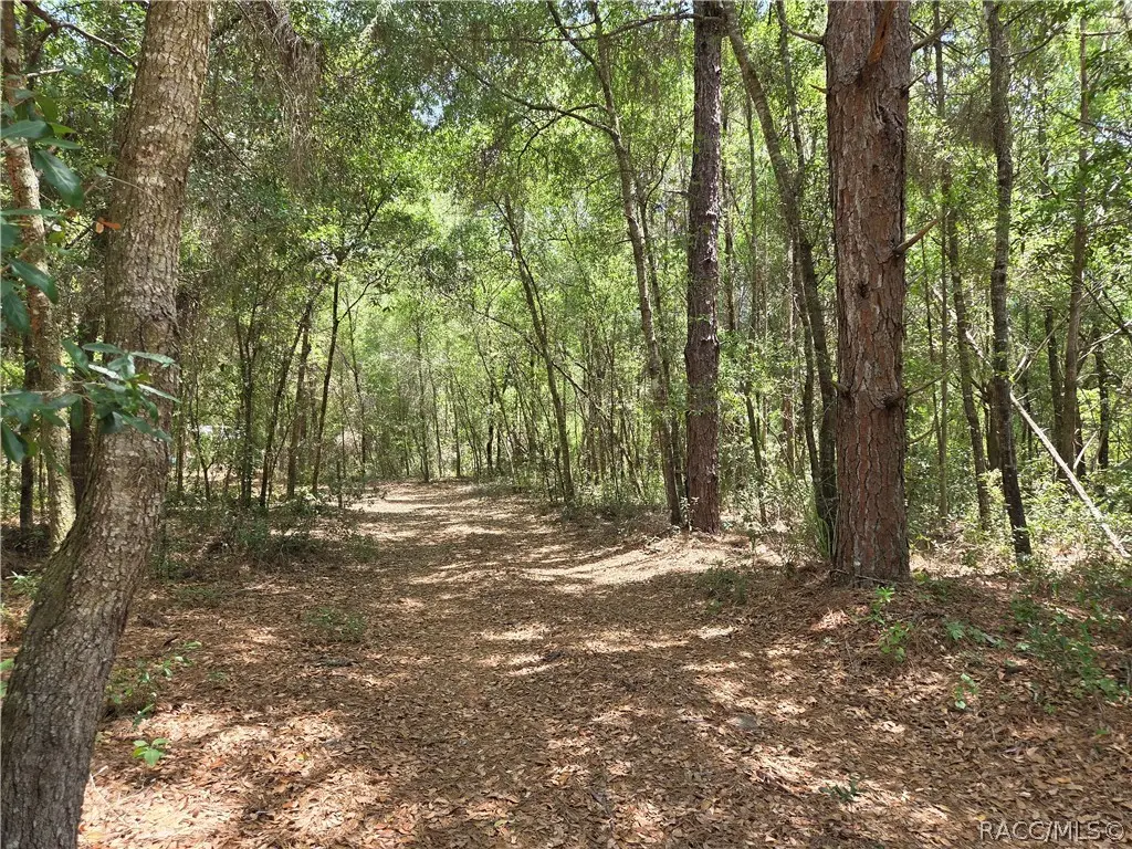11953 N Glenview Avenue, Dunnellon, FL 34434 - #1