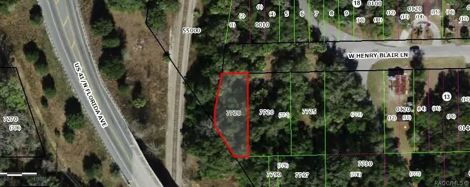 1840 W Henry Blair Lane, Dunnellon, FL 34434 - #1