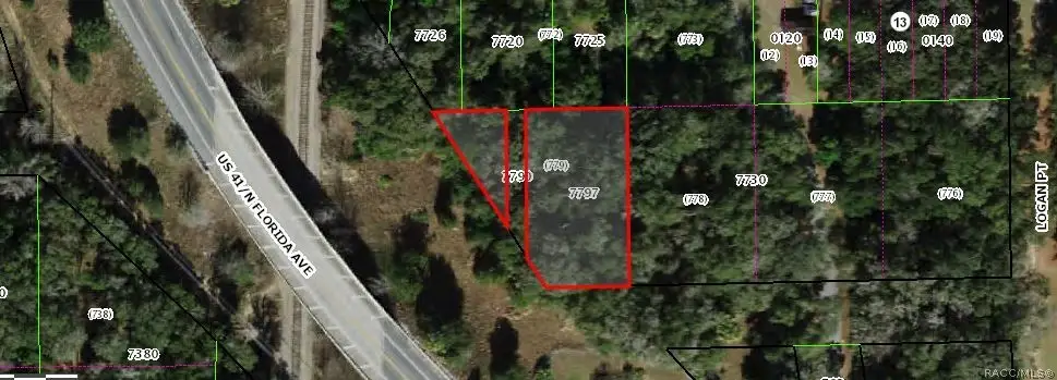 1819 W Attucks Lane, Dunnellon, FL 34434 - #1