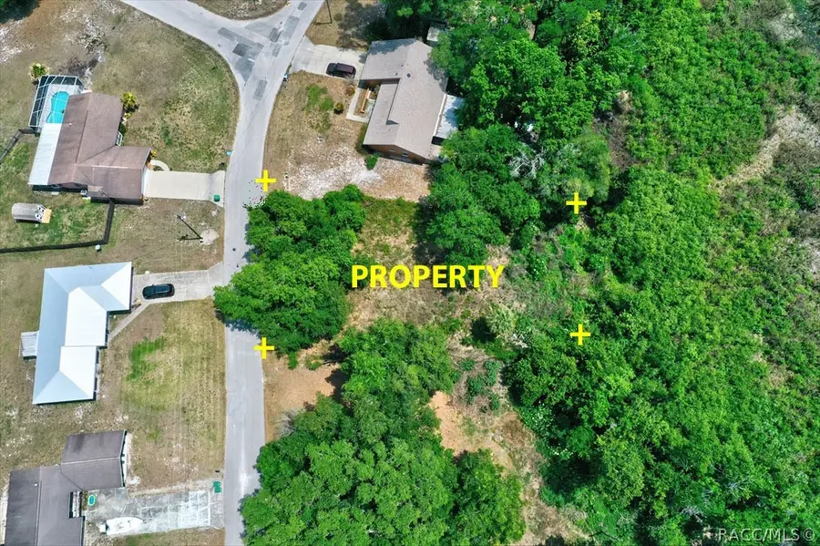 9390 E Mistwood Drive, Inverness, FL 34450 - #3