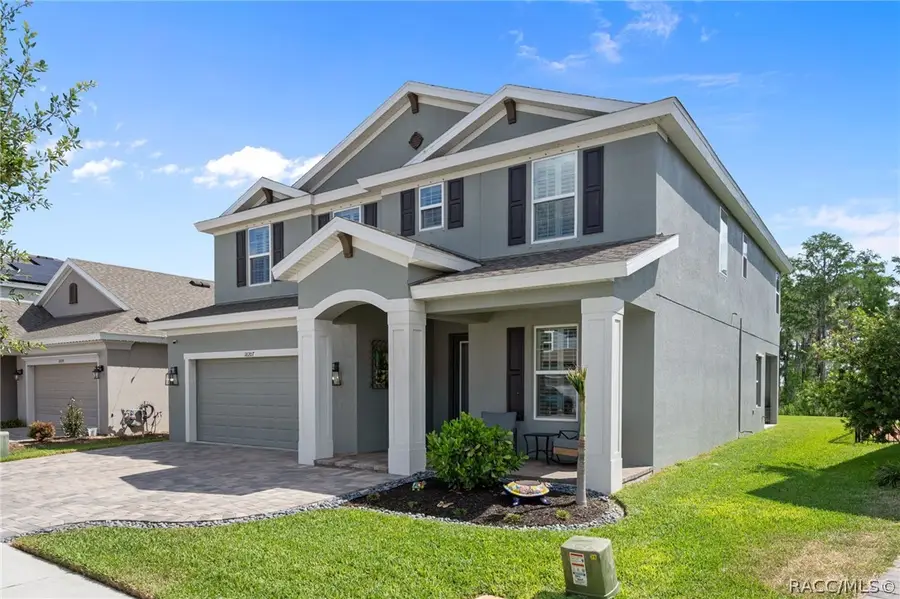 18207 Ramble On Way, Land O Lakes, FL 34638 - #3