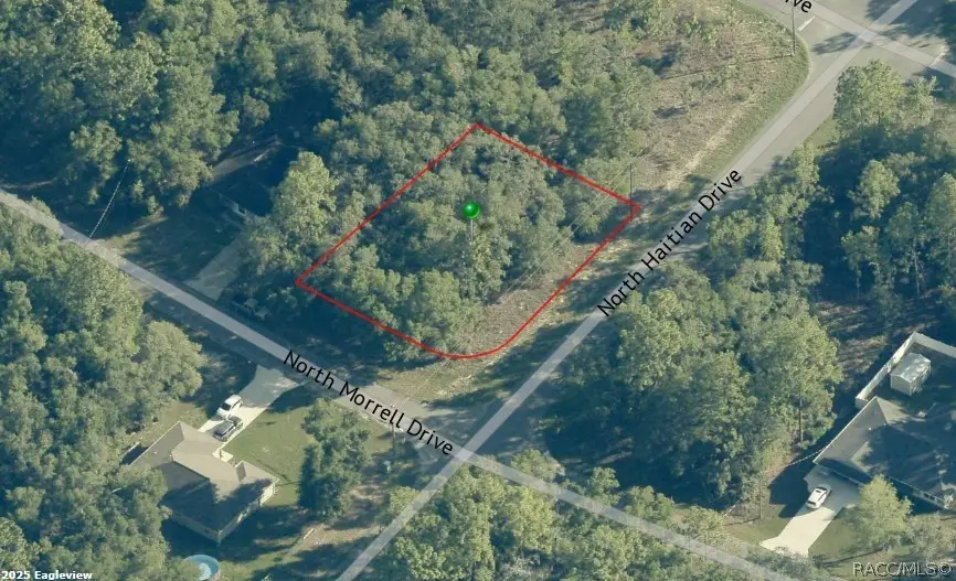 11019 Morrell Drive, Citrus Springs, FL 34434 - #1