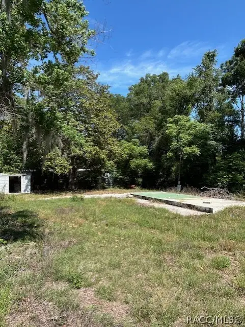 255 S Scarboro Avenue, Lecanto, FL 34461 - #1