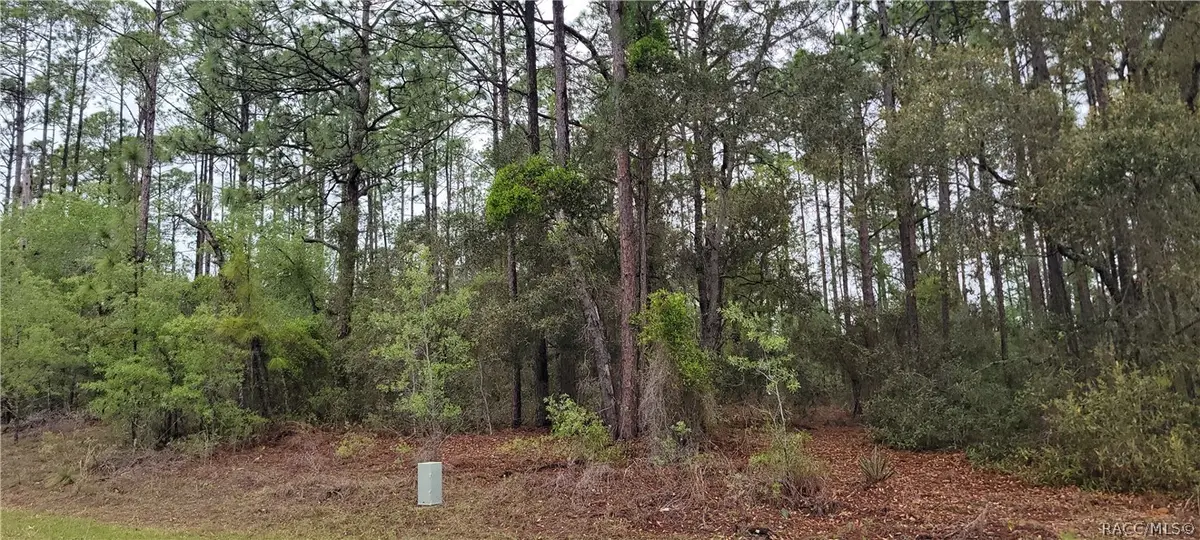 2851 W Higgins Place, Dunnellon, FL 34433 - #1