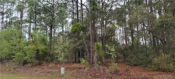 2851 W Higgins Place, Dunnellon, FL 34433