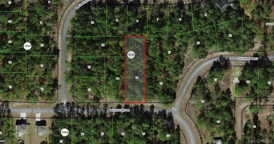 2851 W Higgins Place, Dunnellon, FL 34433 - #2