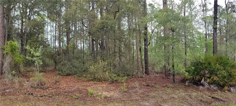 2851 W Higgins Place, Dunnellon, FL 34433 - #3