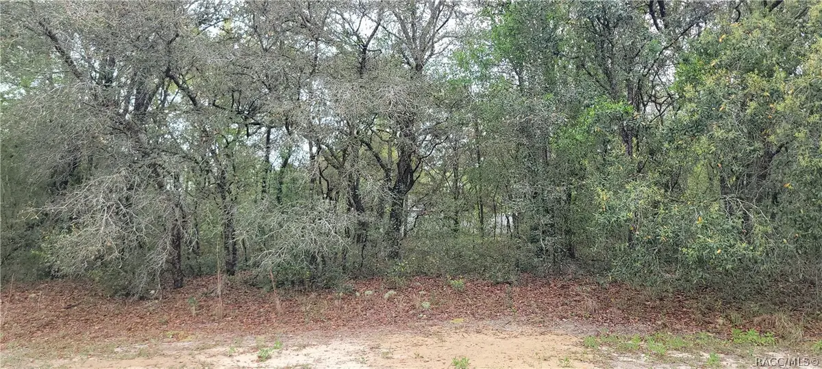 3028 W Randolph Lane, Citrus Springs, FL 34433 - #1