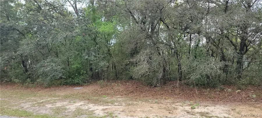 3028 W Randolph Lane, Citrus Springs, FL 34433 - #3