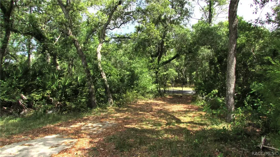 5974 W Oaklawn Street, Homosassa, FL 34446 - #3