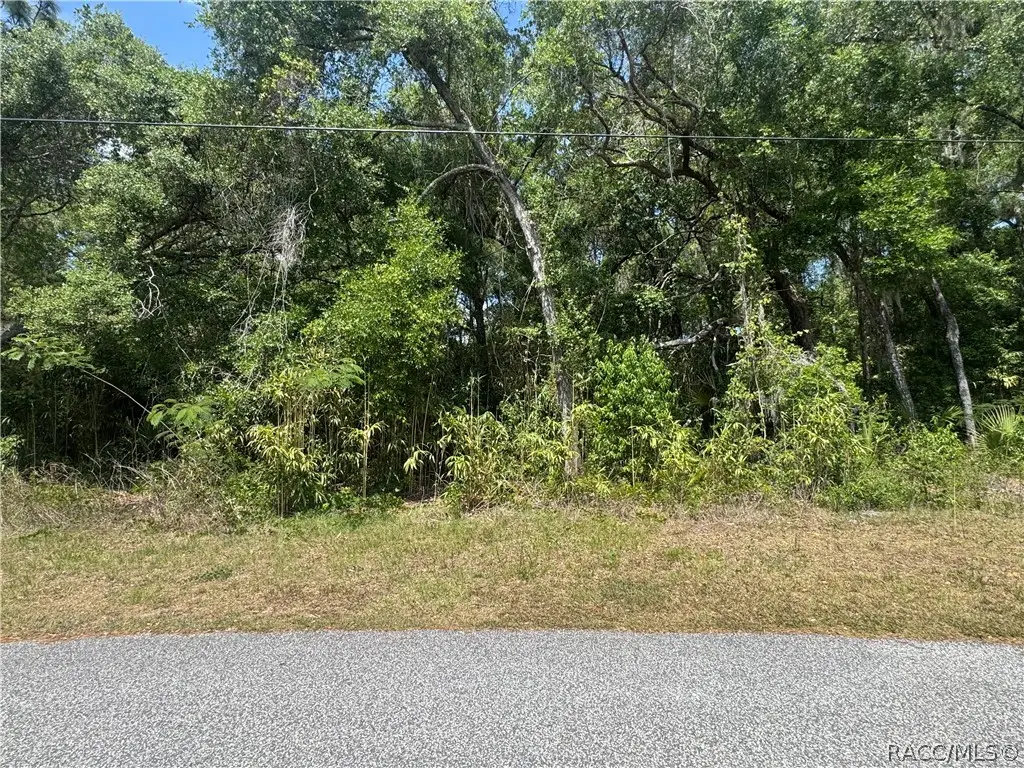 1650 N Paulette Terrace, Inverness, FL 34453 - #1