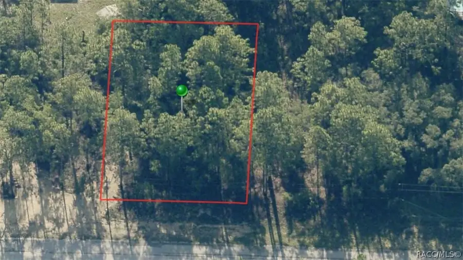 11109 N Sonnett Terrace, Dunnellon, FL 34434 - #3