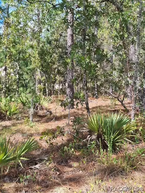 4138 W Dorchester Circle, Dunnellon, FL 34433 - #2