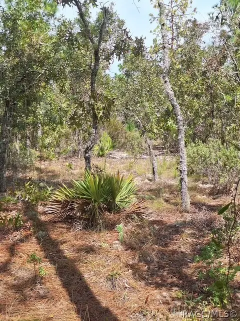 4138 W Dorchester Circle, Dunnellon, FL 34433 - #3