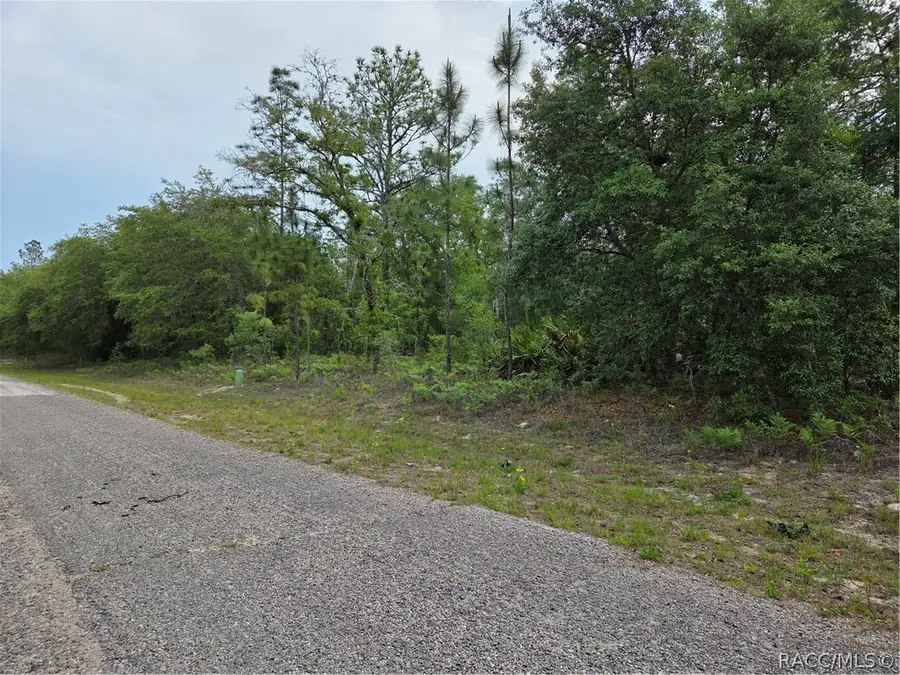 6493 N Matheson Drive, Citrus Springs, FL 34434 - #3
