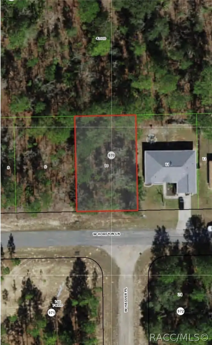 713 W Horizon Lane, Citrus Springs, FL 34434 - #1