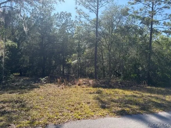 6162 W Bovio Court, Dunnellon, FL 34433
