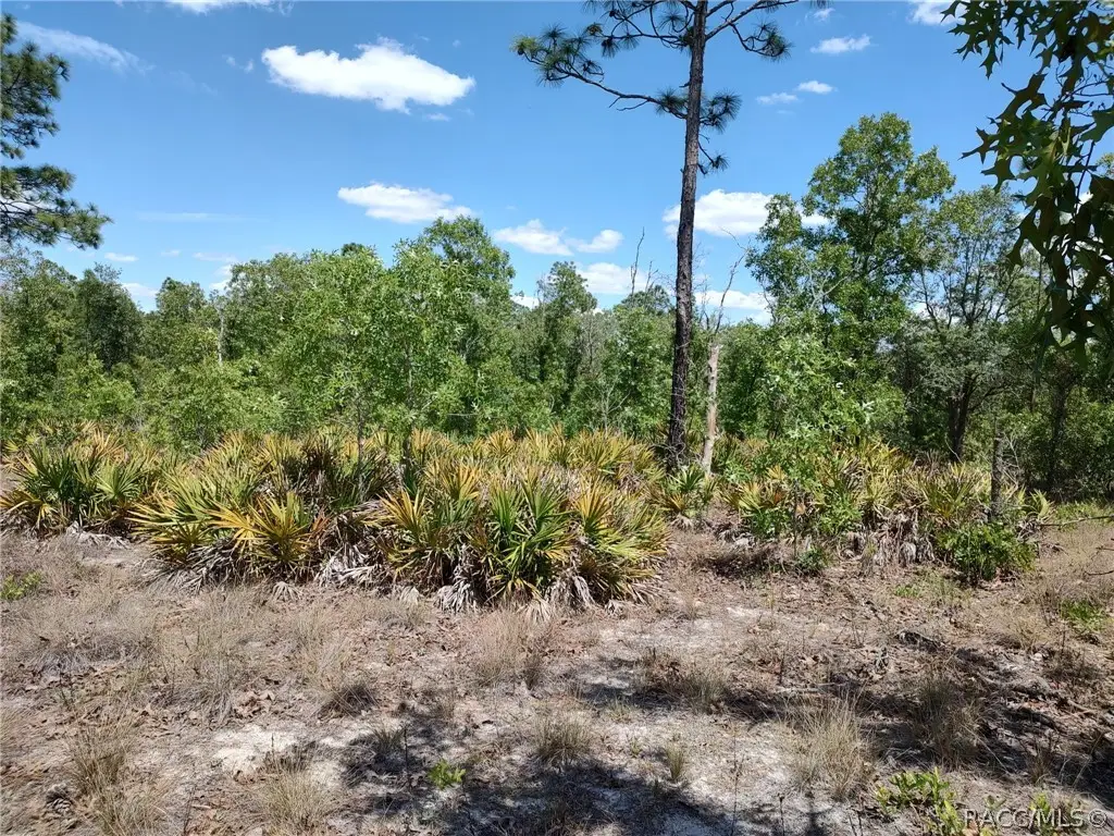 7165 W August Lane, Dunnellon, FL 34433 - #1