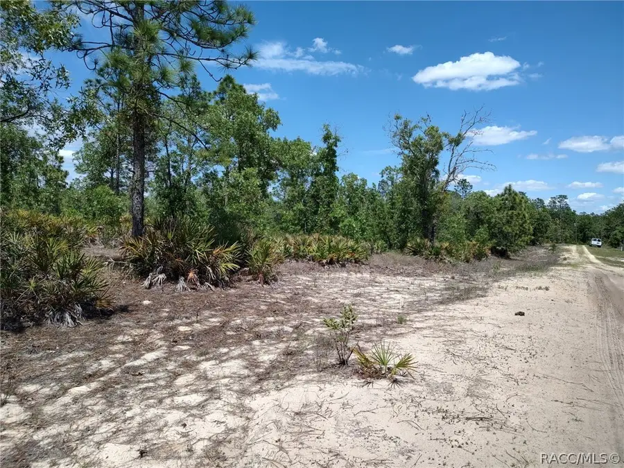 7165 W August Lane, Dunnellon, FL 34433 - #3