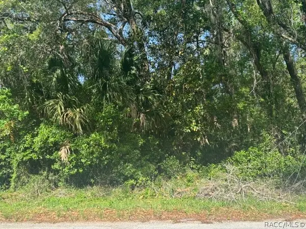 874 N Savary Avenue, Inverness, FL 34453