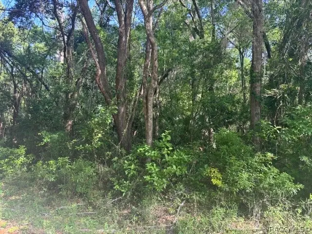 874 N Savary Avenue, Inverness, FL 34453 - #3
