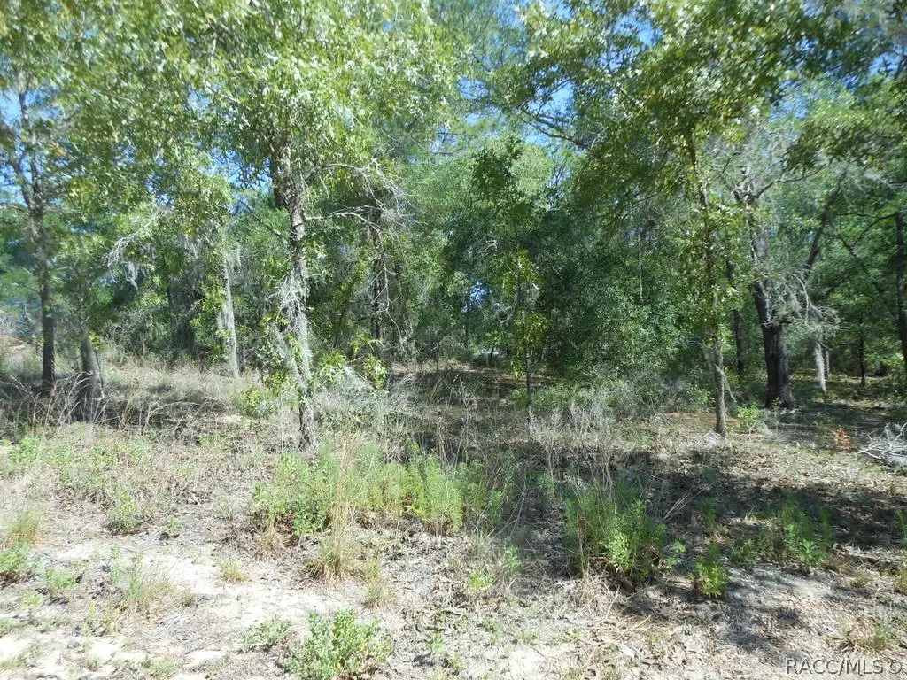 5225 E Prentice Lane, Inverness, FL 34452 - #1