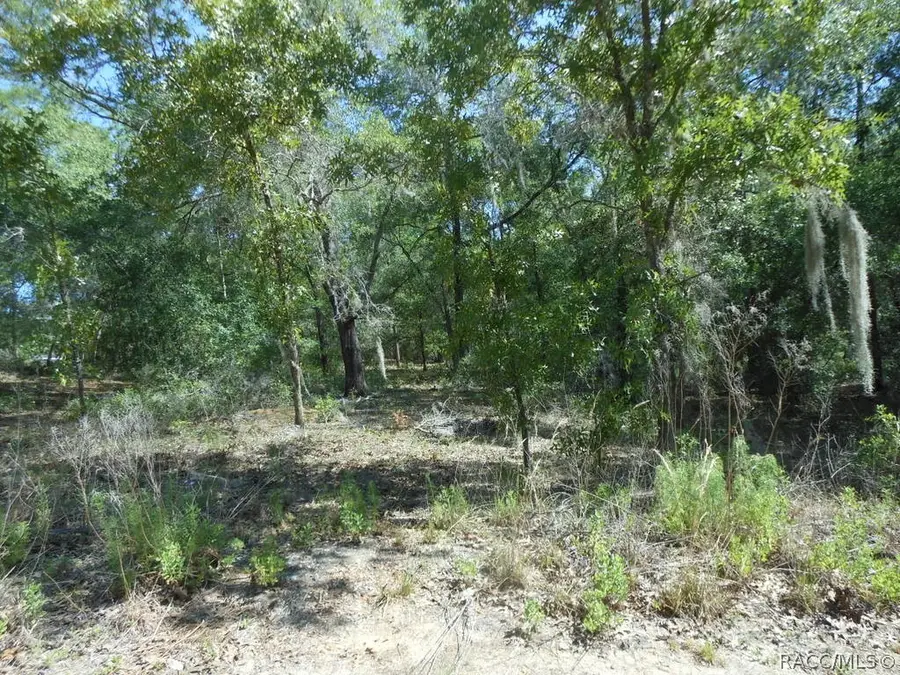5225 E Prentice Lane, Inverness, FL 34452 - #2