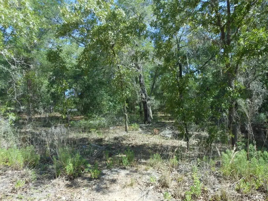 5225 E Prentice Lane, Inverness, FL 34452 - #3