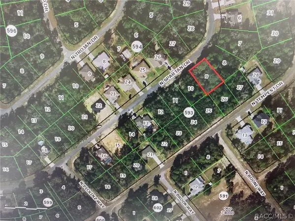 8595 N Spartan Drive, Citrus Springs, FL 34433