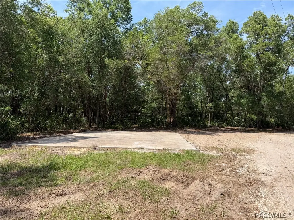 1628 S Palm Avenue, Homosassa, FL 34448 - #1