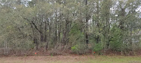 7662 N Maltese Drive, Citrus Springs, FL 34433