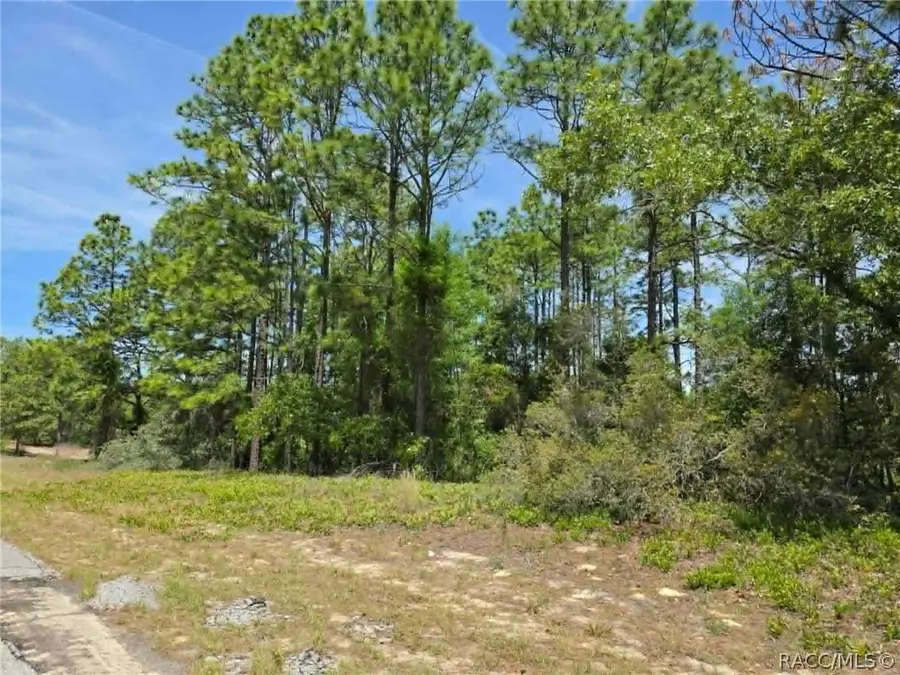 3099 W Wilhelm Street, Dunnellon, FL 34433 - #2